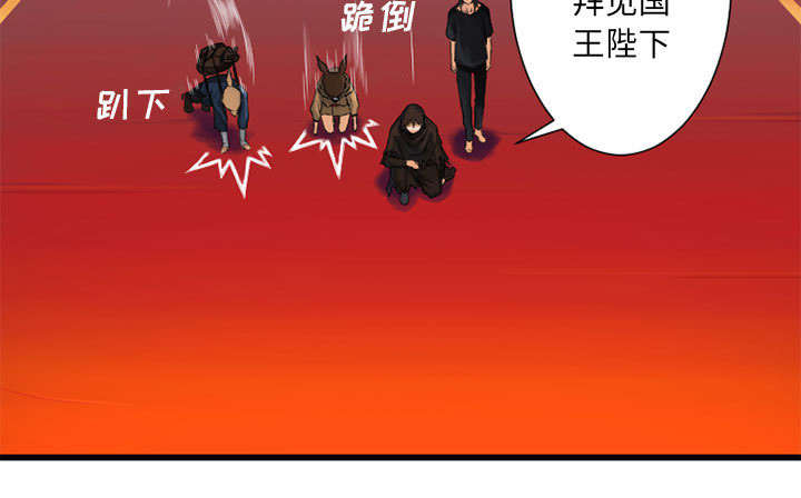 第46章：面圣34