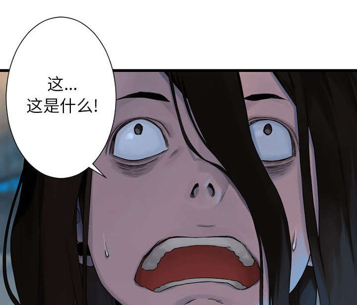 第46章：面圣1