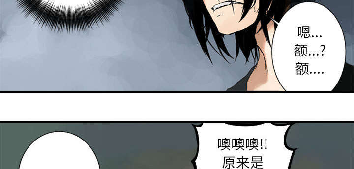 第3章：成为了召唤兽9