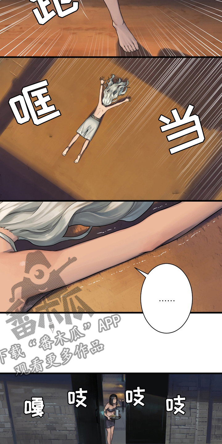 第113章：障壁后面5