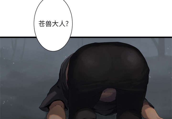 第12章：不堪一击23