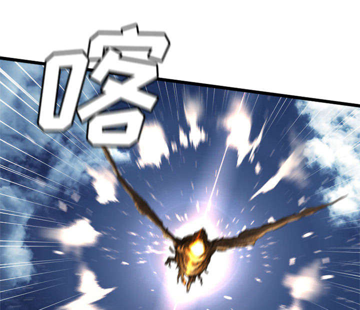 第41章：战斗6