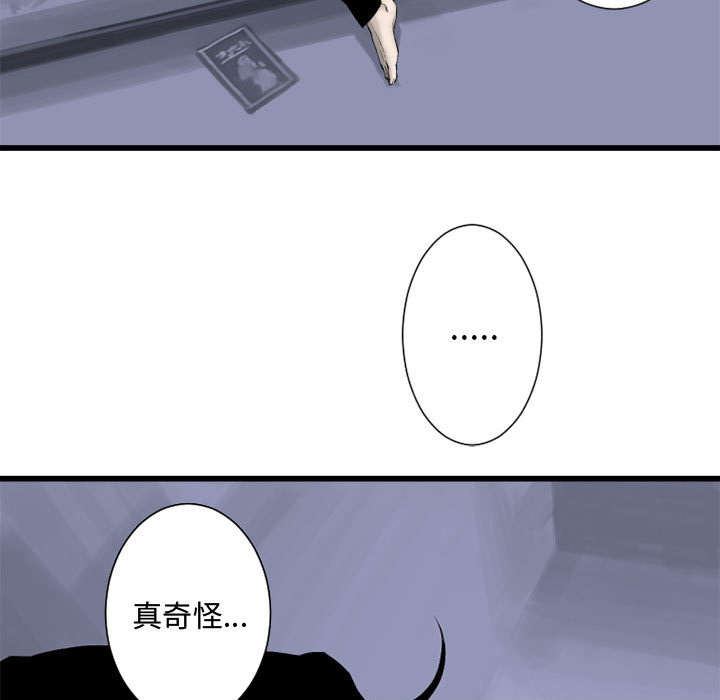 第5章：脚上的叶片29