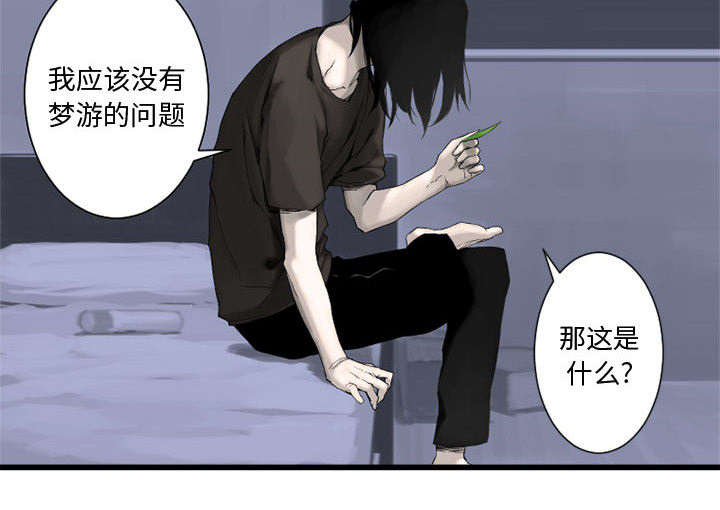 第5章：脚上的叶片36