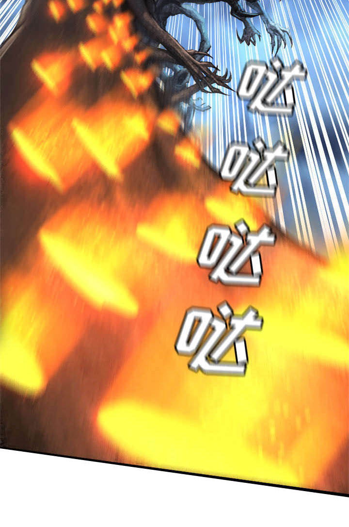 第41章：战斗43