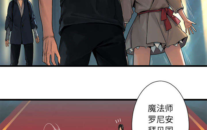 第46章：面圣33