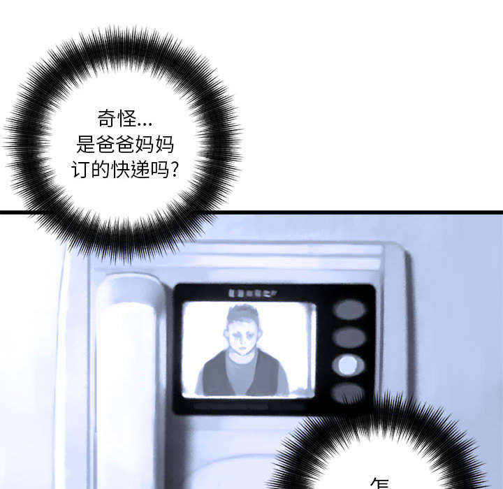 第19章：又有快递了24