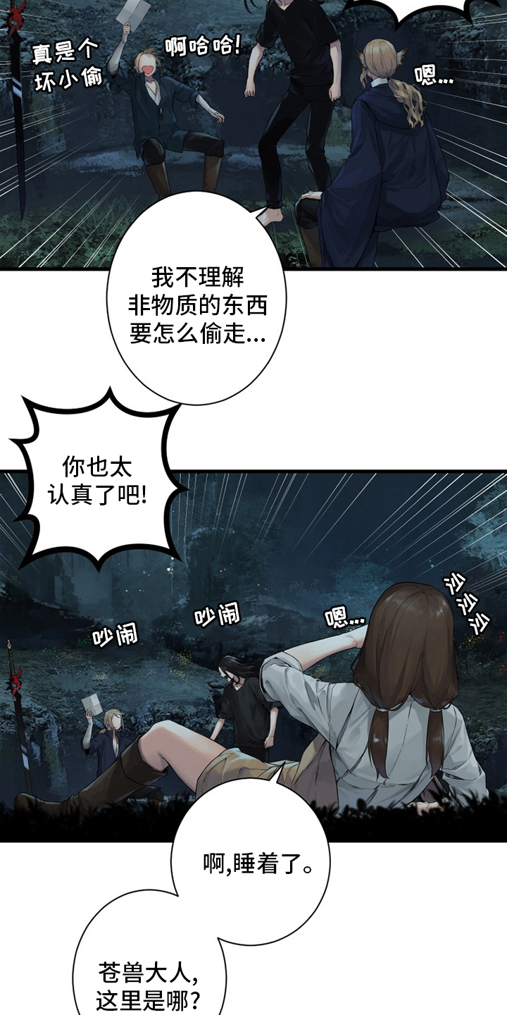 第161章：坏小偷20