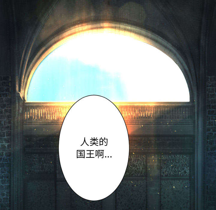 第47章：阴谋15