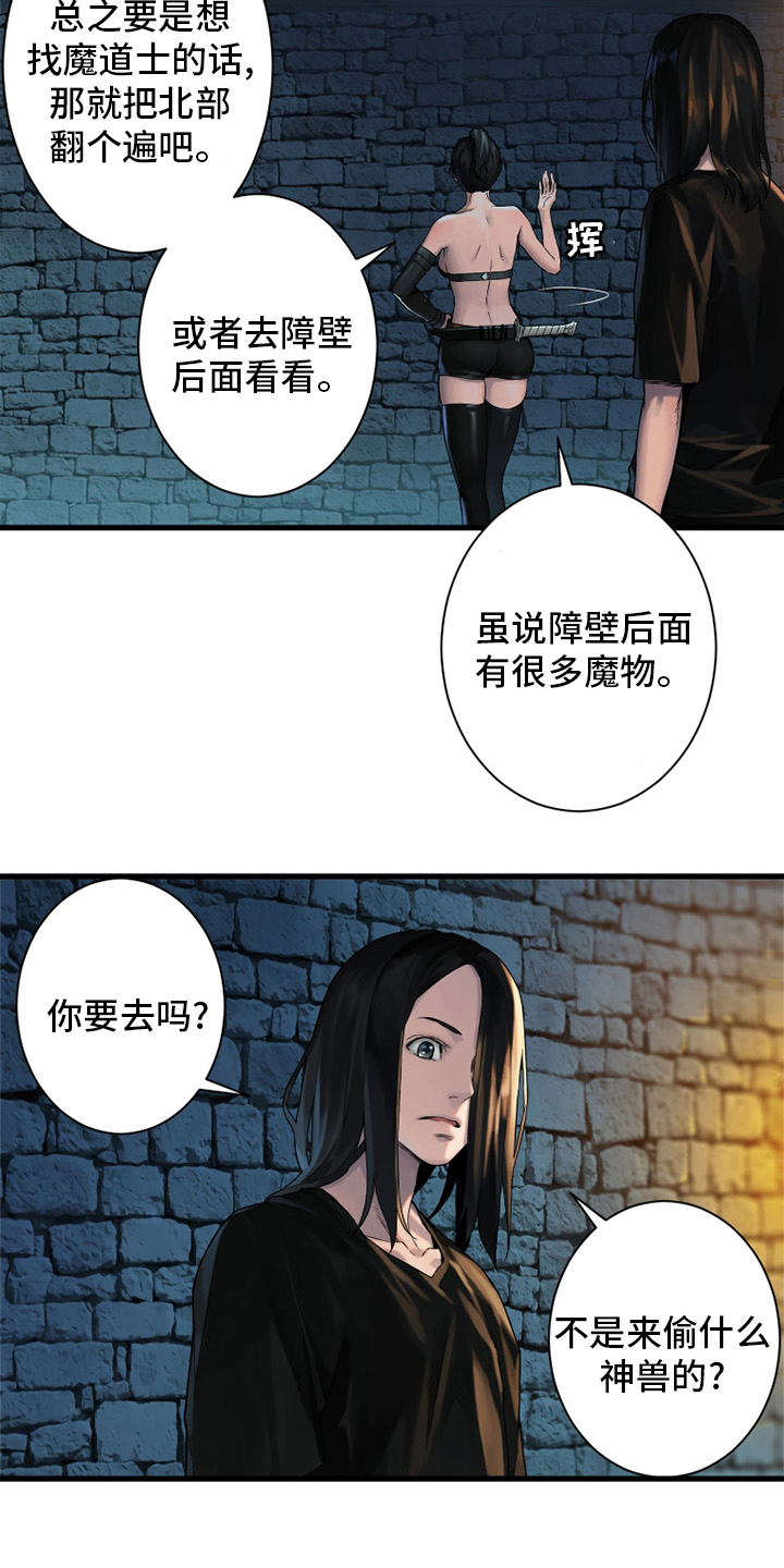 第113章：障壁后面25