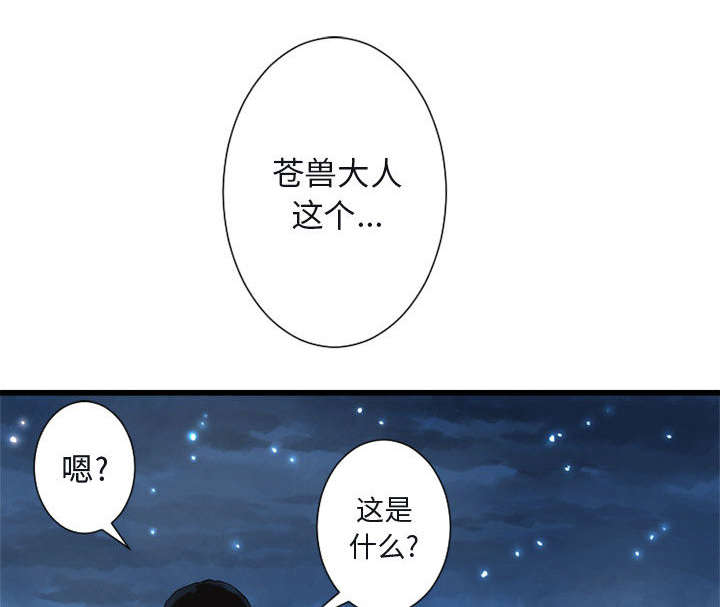 第13章：现实与想象14