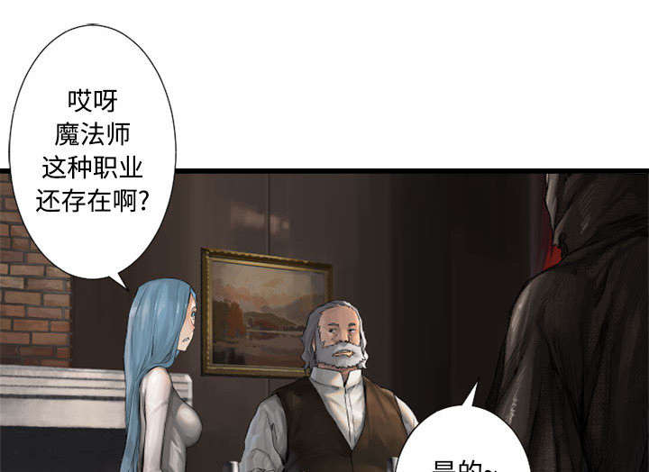 第22章：到来的魔法师33
