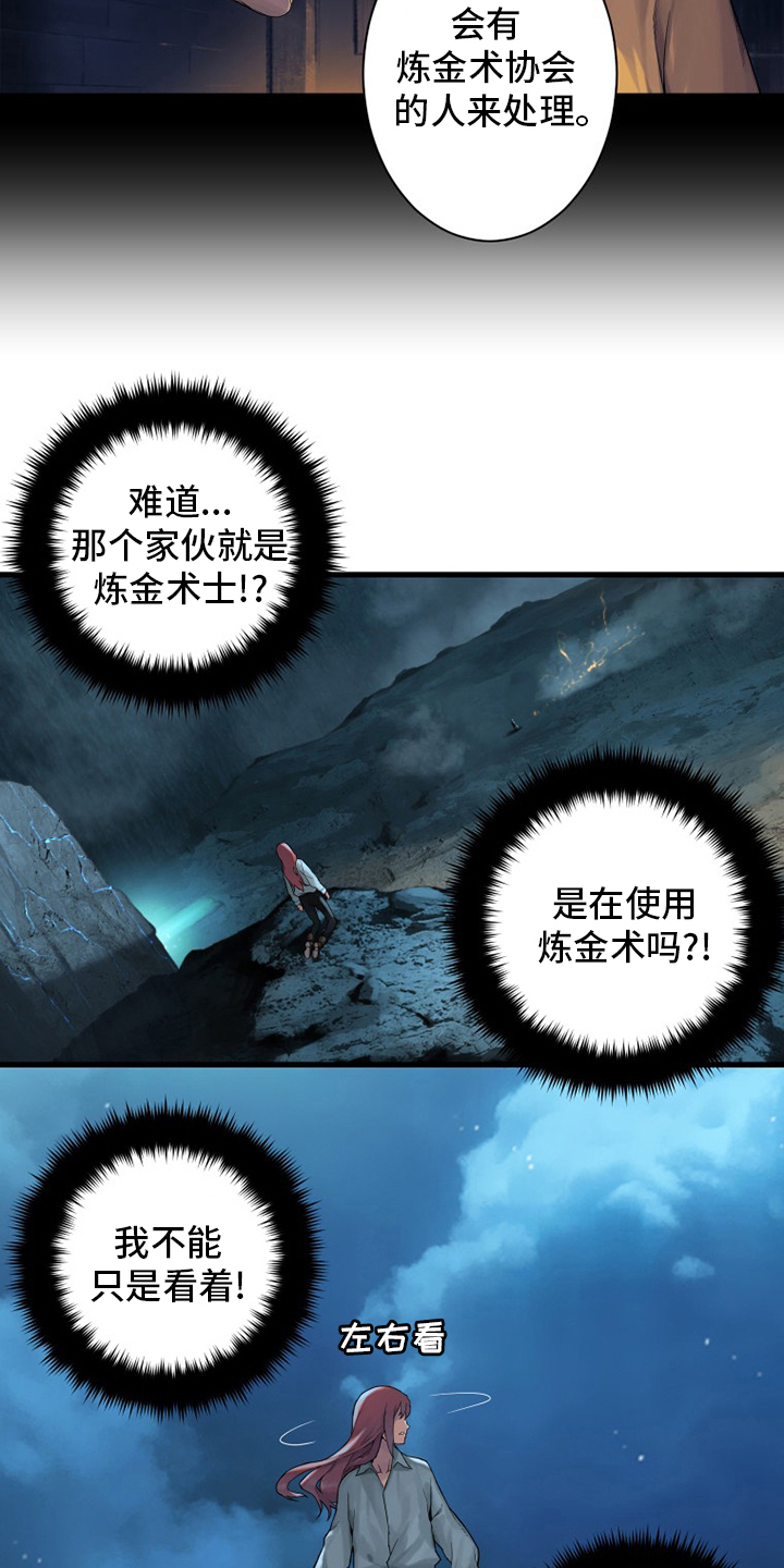第93章：炼金术师17