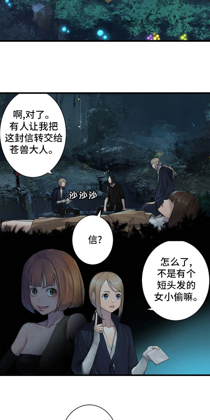 第161章：坏小偷17
