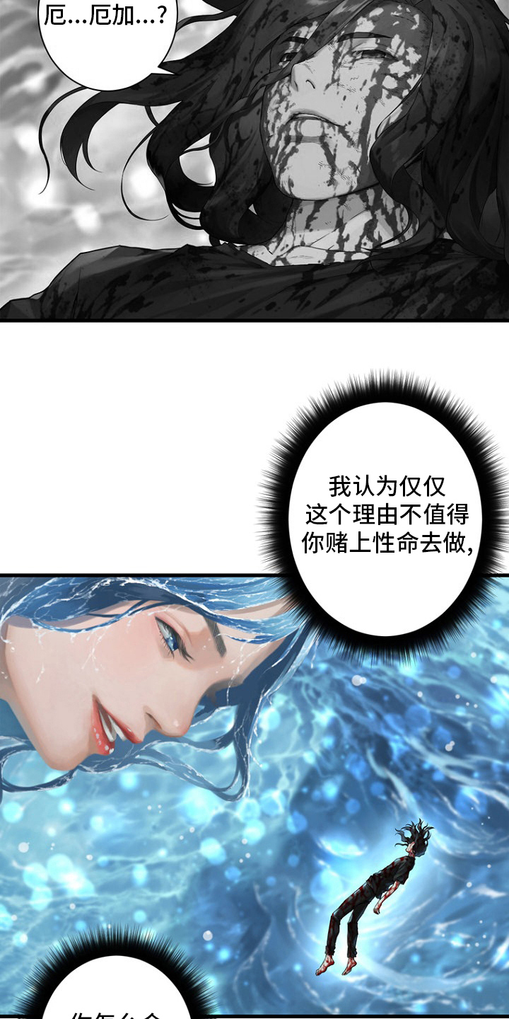 第183章：最后一次召唤7