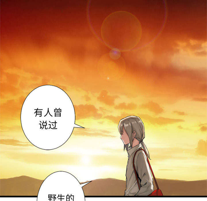 第30章：自暴自弃20