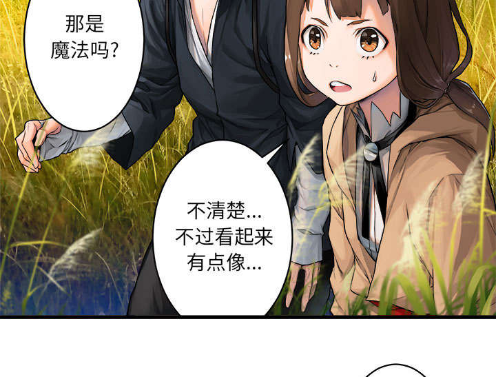 第53章：高手48