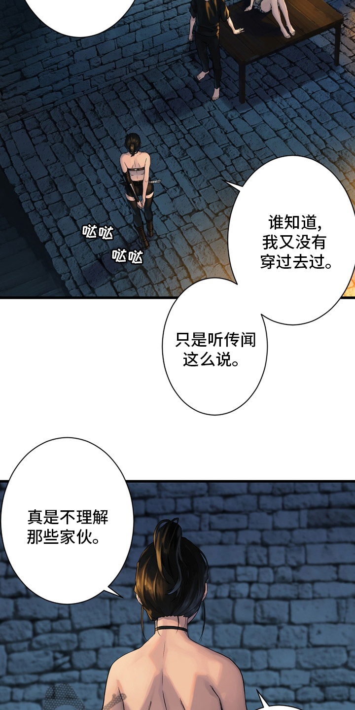 第113章：障壁后面23