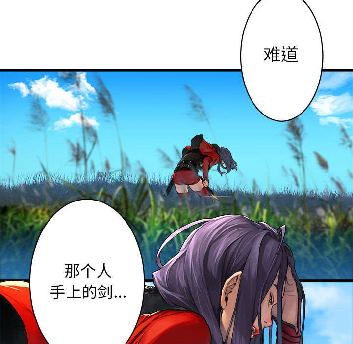 第53章：高手49