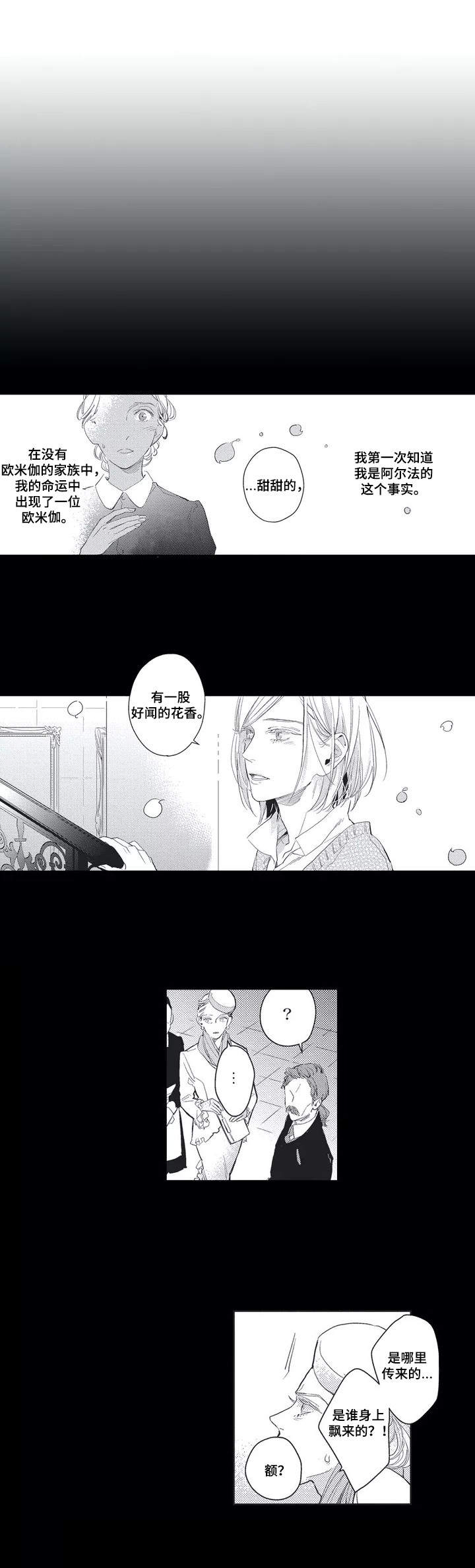 第1章：阿尔法家族0