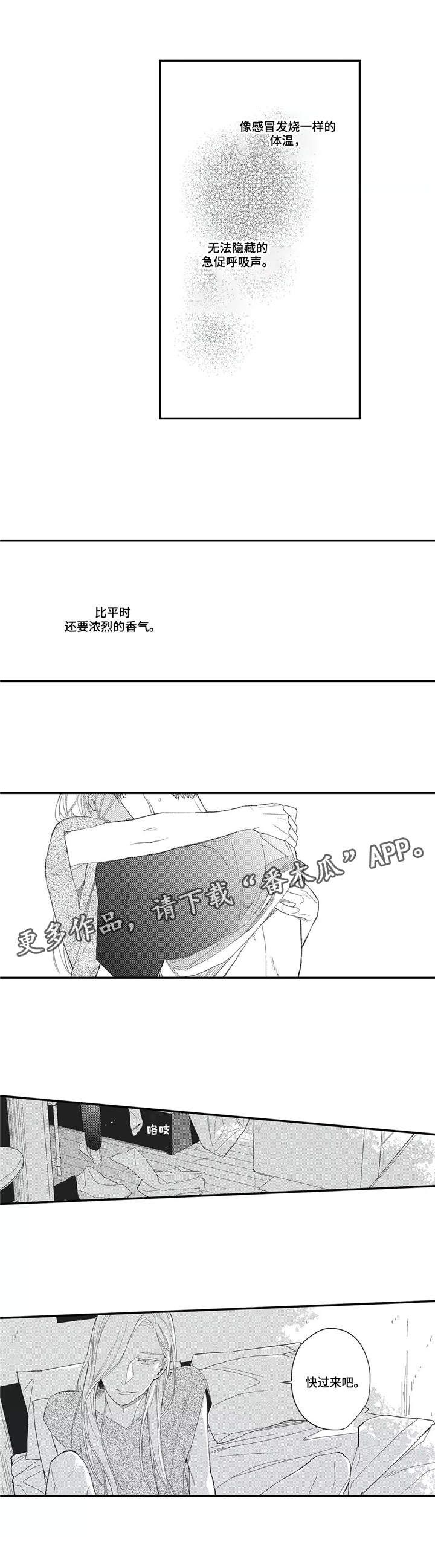 第9章：香气4