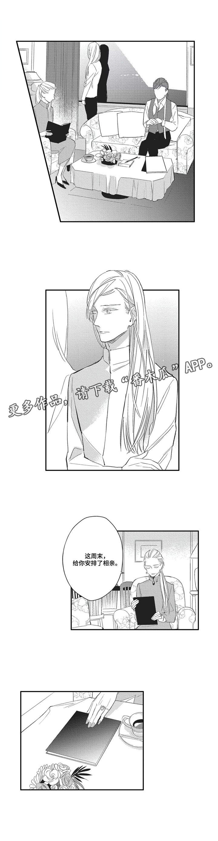 第5章：安排相亲5