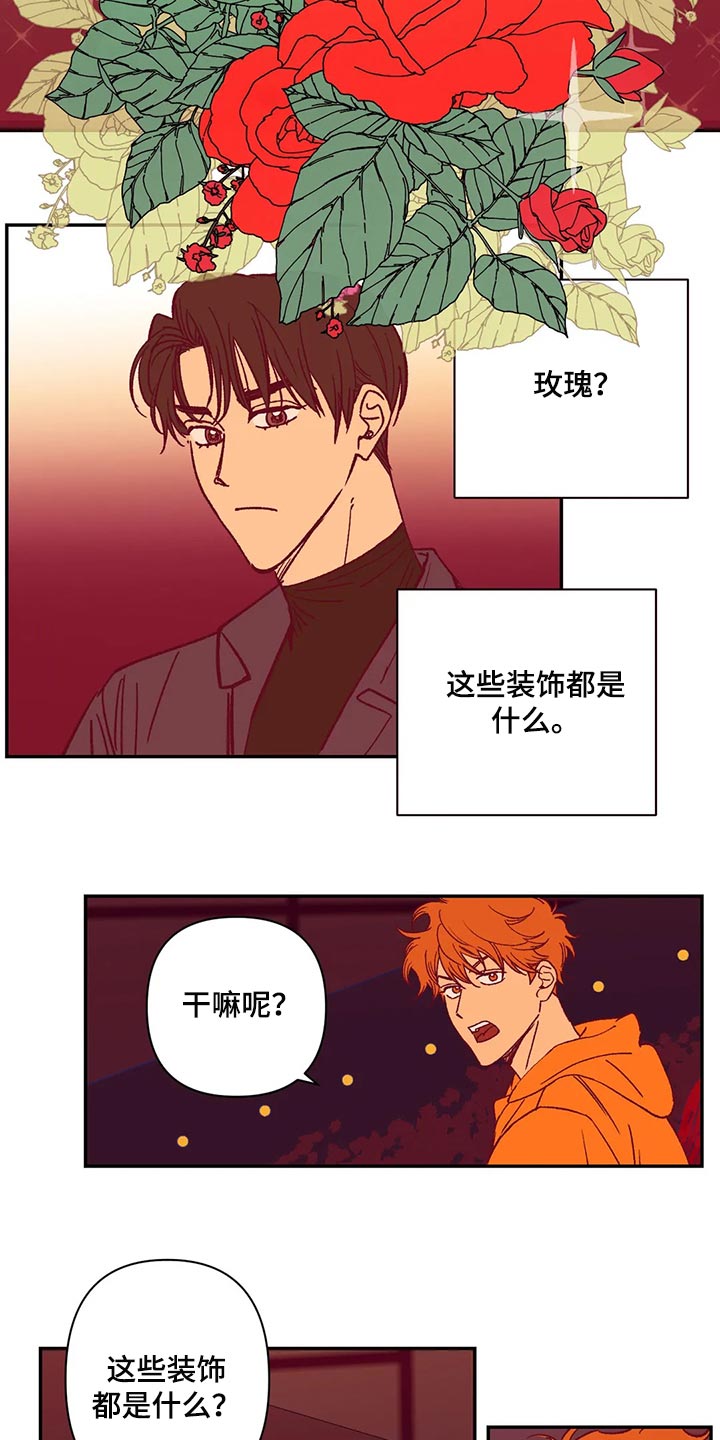 第74章：玫瑰4