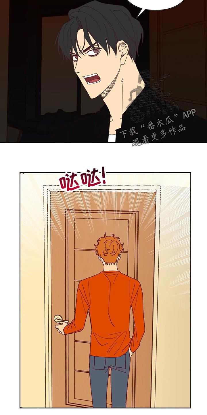 第44章：提议4