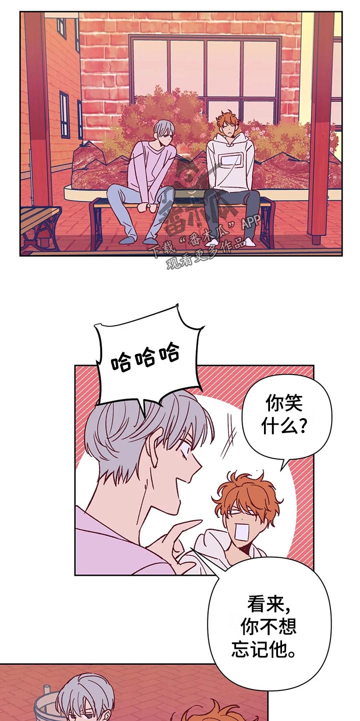 第62章：建议8