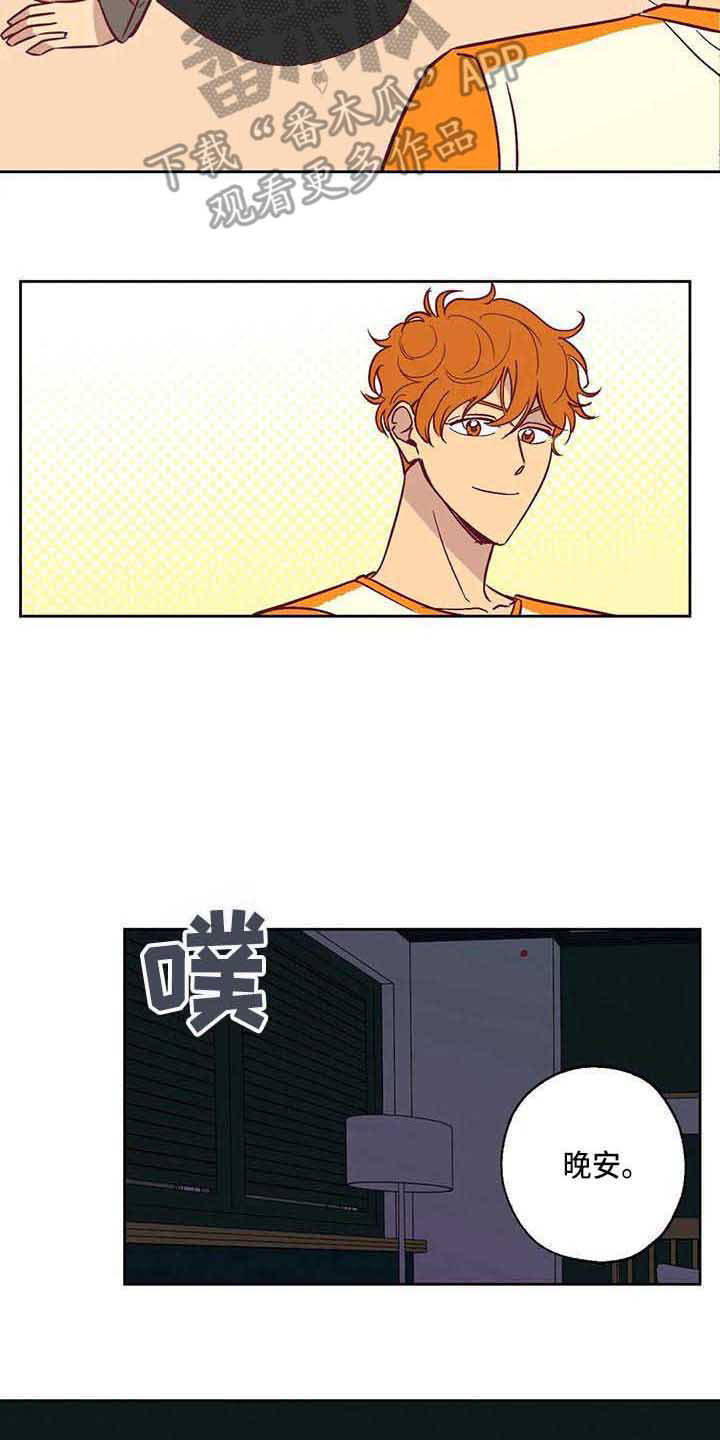 第11章：接受现实12