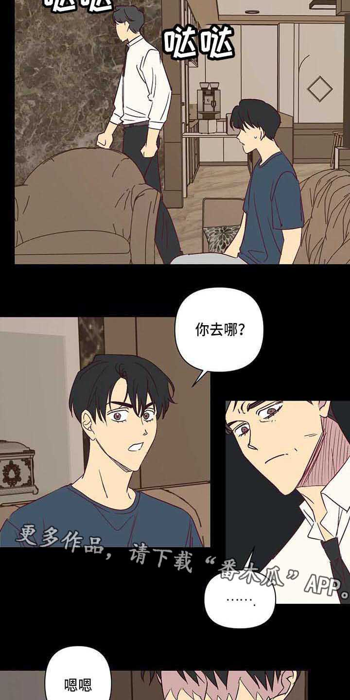 第29章：离婚2