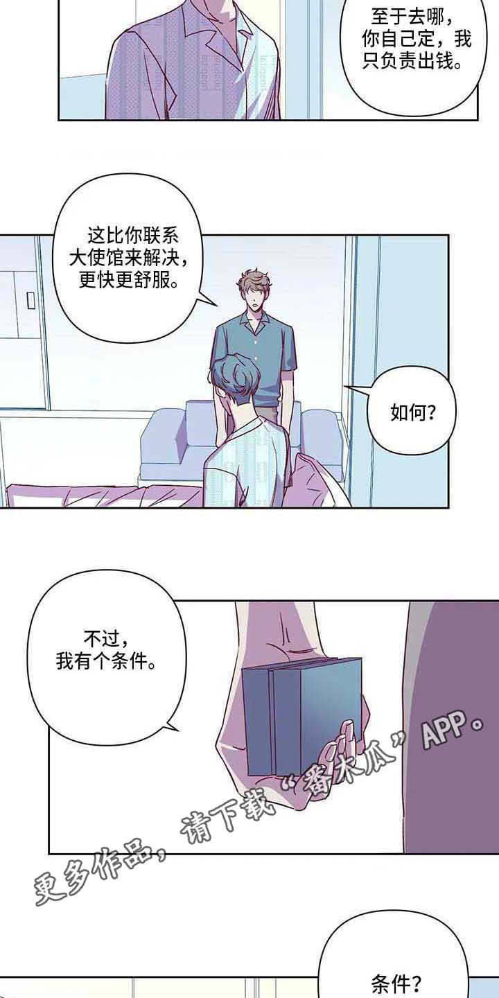 第8章：条件2