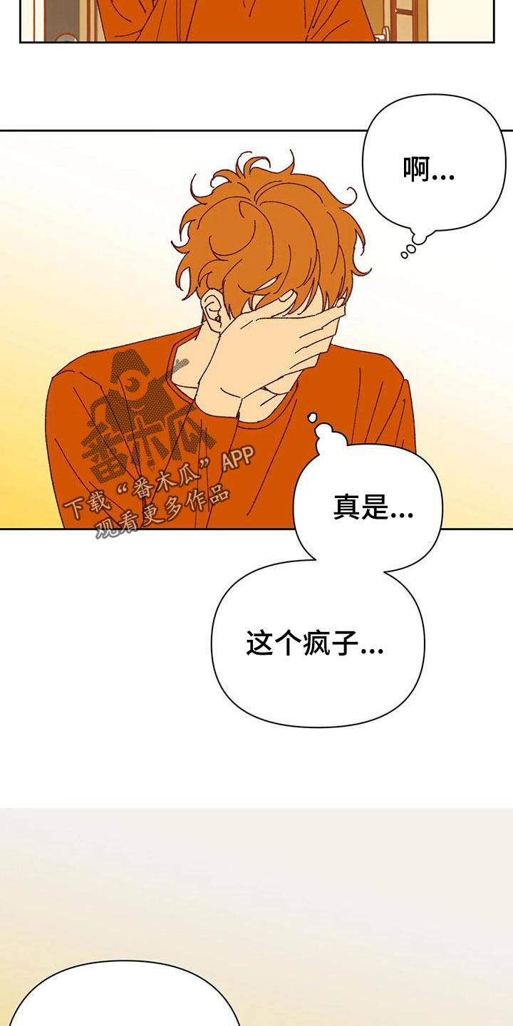 第44章：提议6