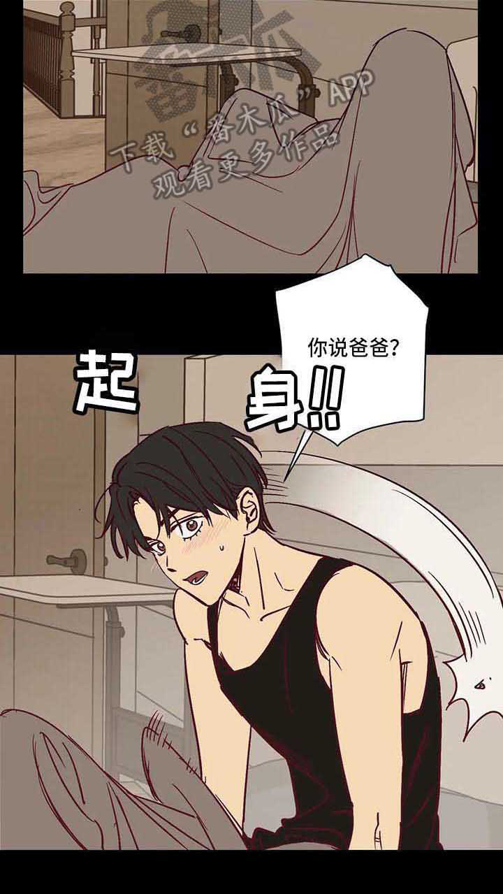 第27章：调查问卷16