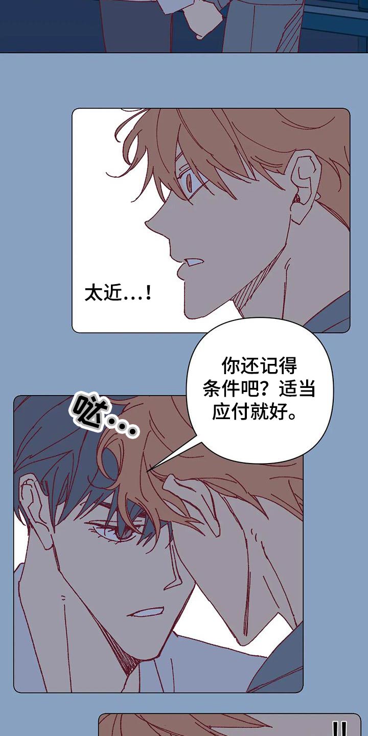 第50章：应付条件17
