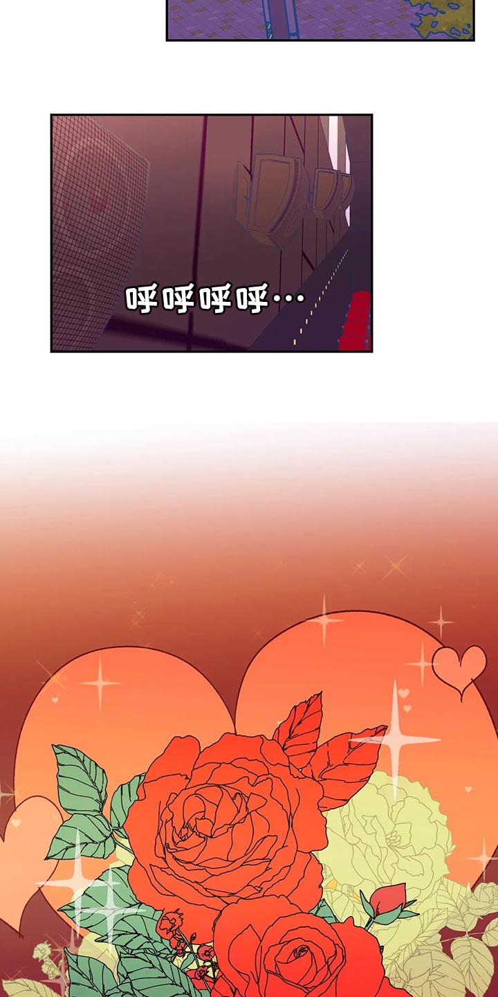 第74章：玫瑰3