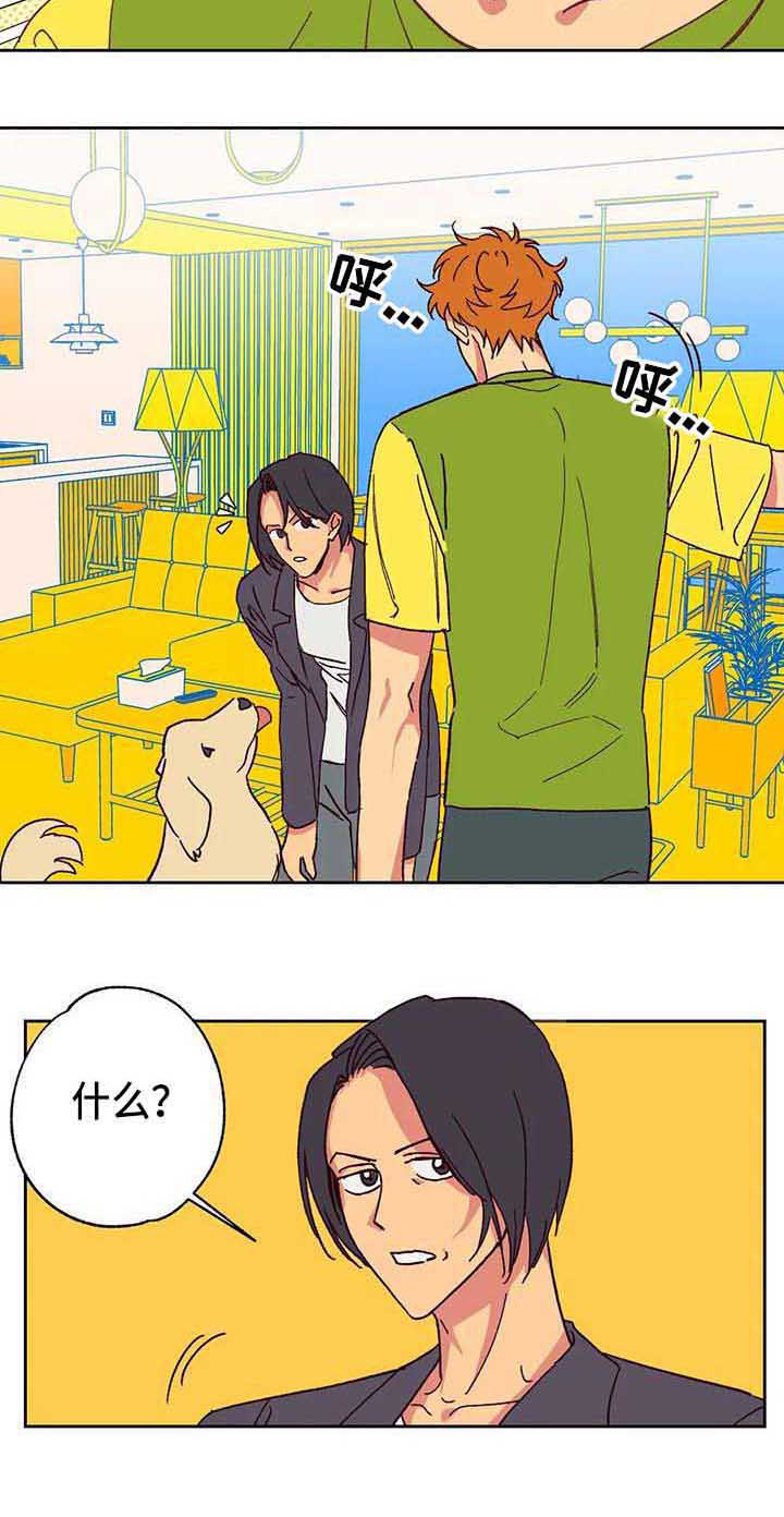 第3章：车祸14