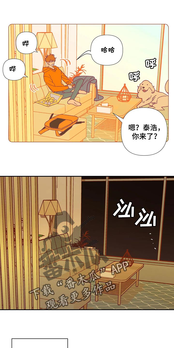 第84章：代价3