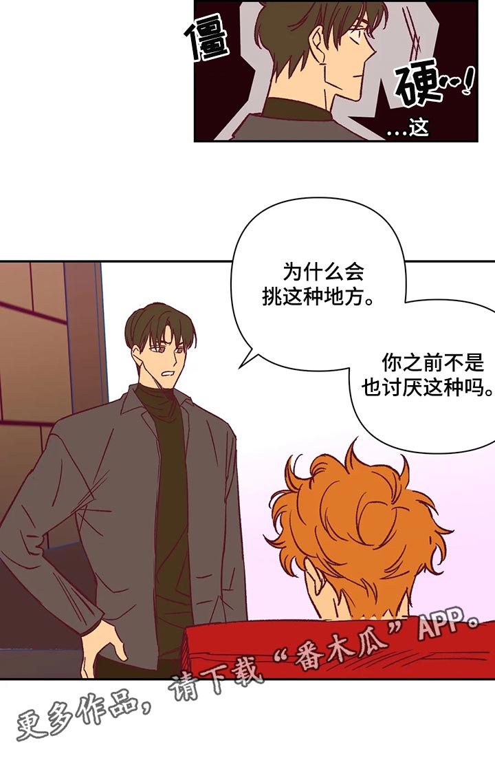 第74章：玫瑰11