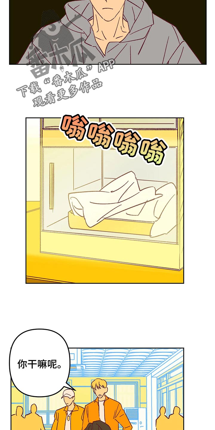 第67章：回家吧5