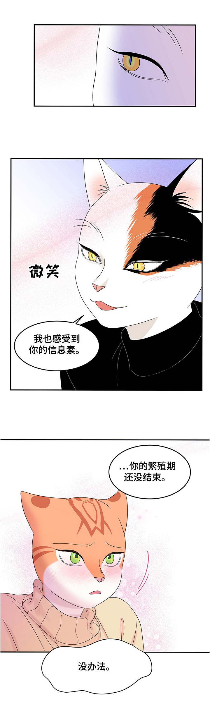 第11章：好辣9