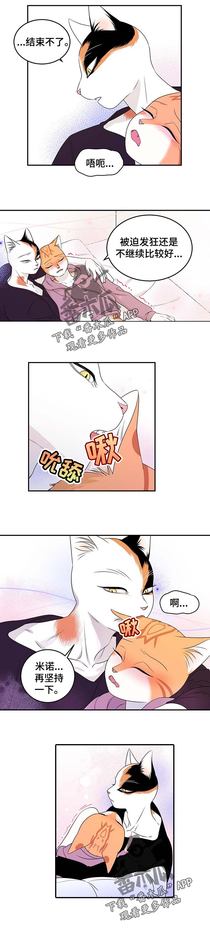 第29章：我带你回家3