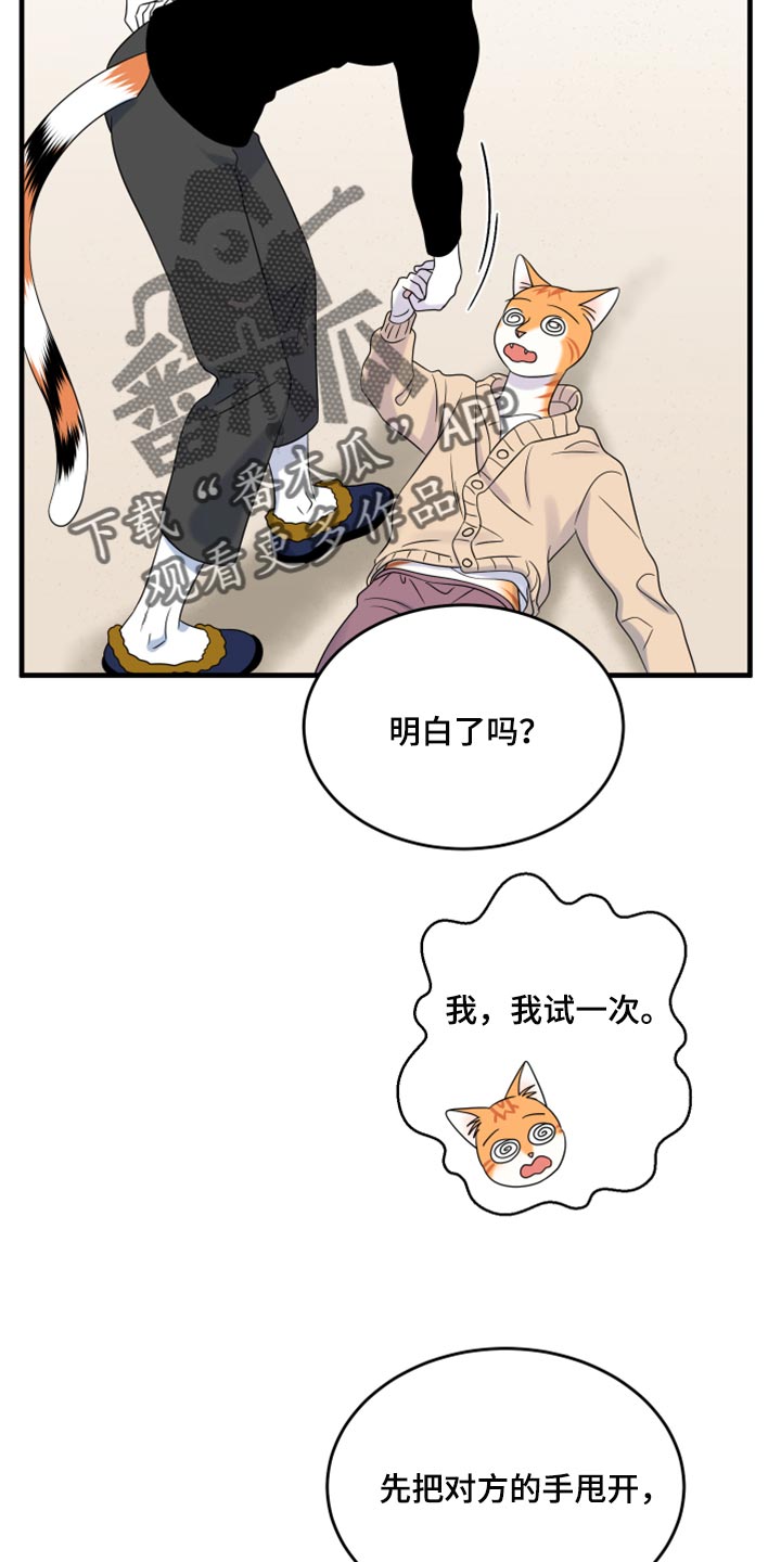 第87章：【第二季】学习防身术11