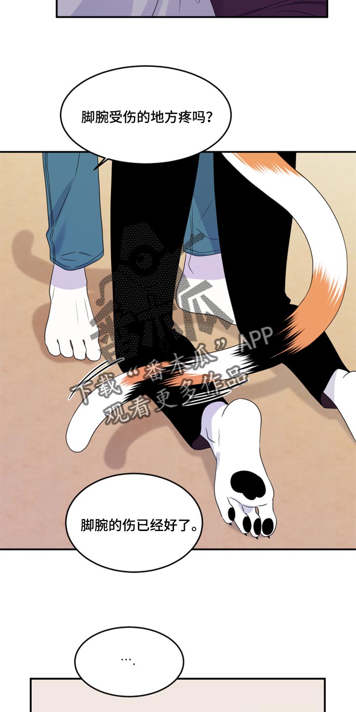第54章：【第二季】你要丢下我?21