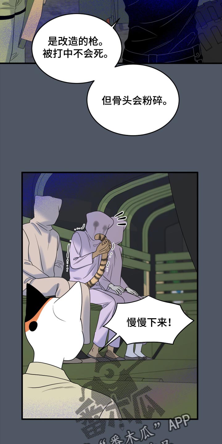 第81章：【第二季】中弹5
