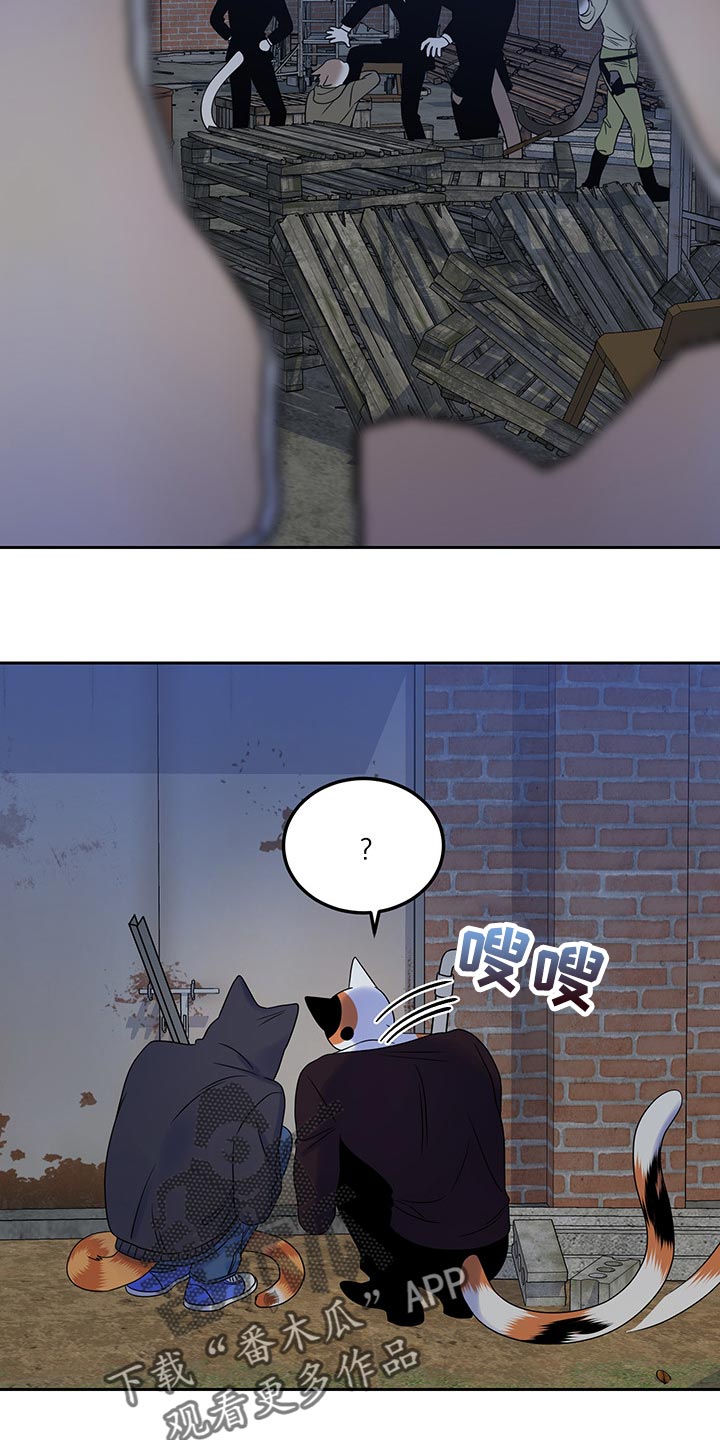 第36章：道歉8