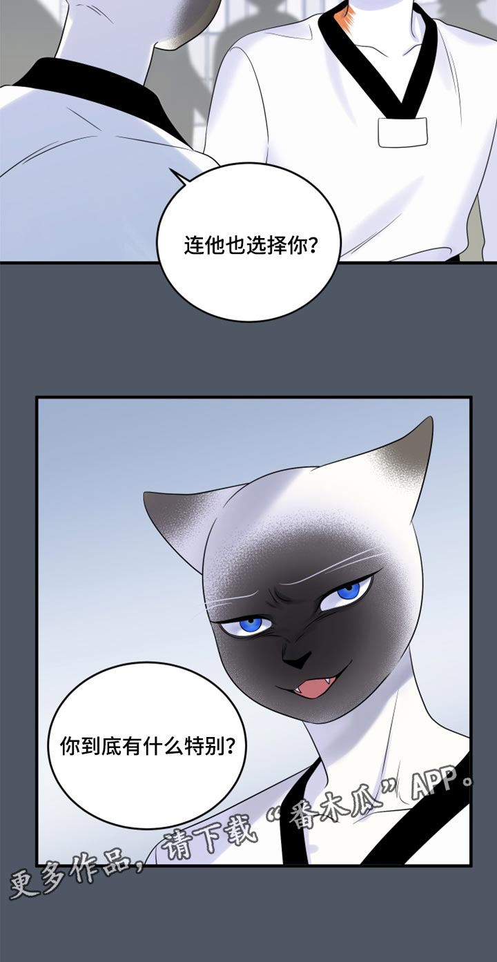 第76章：【第二季】有什么特别25