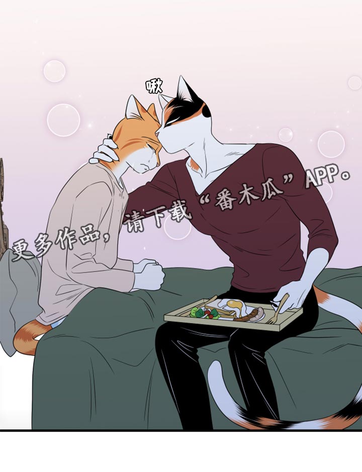 第66章：【第二季】你可以放心了23