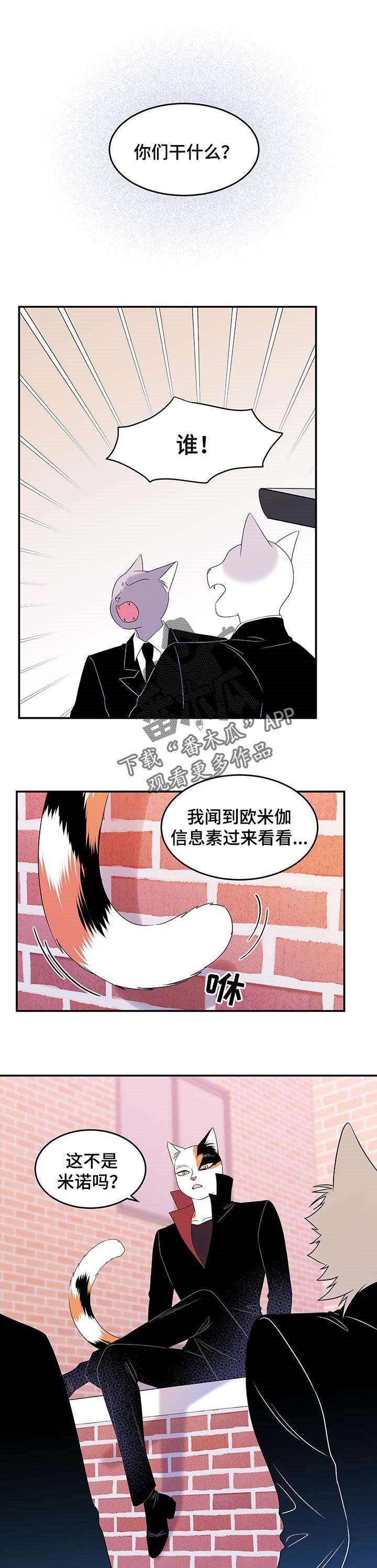 第28章：奇特0