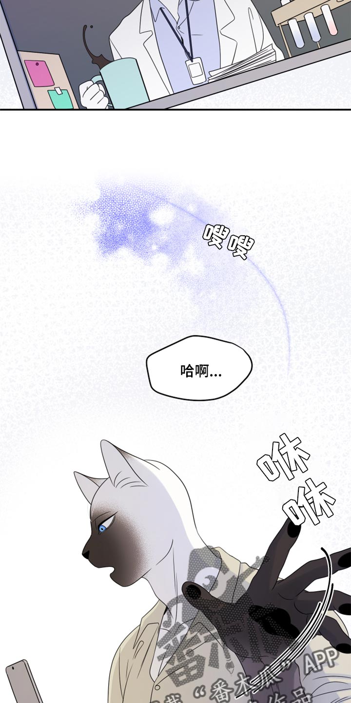 第56章：【第二季】人工阿尔法18